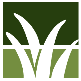 Tree Debris Removal Pros