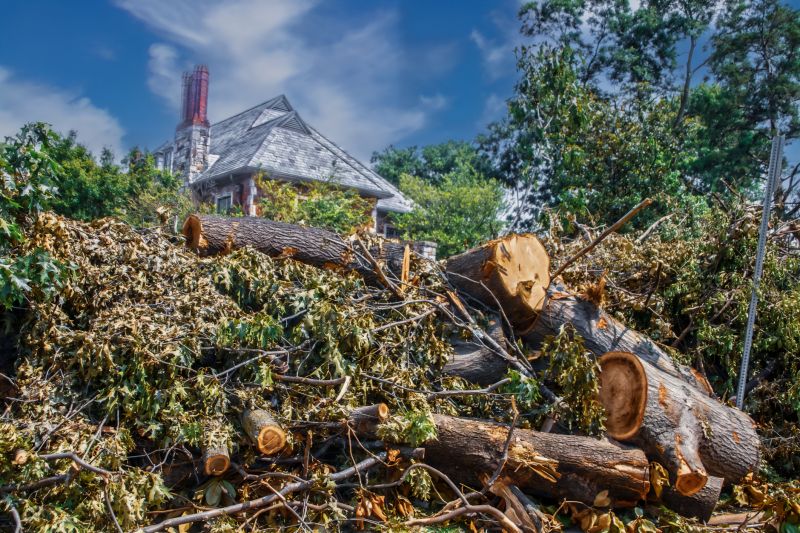 Yard Debris Removal Service