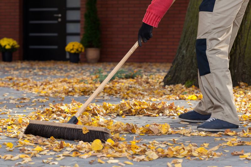 Autumn Leaf Removal in Honolulu, HI