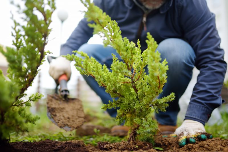 Shrub Landscaping in Ventura County, CA