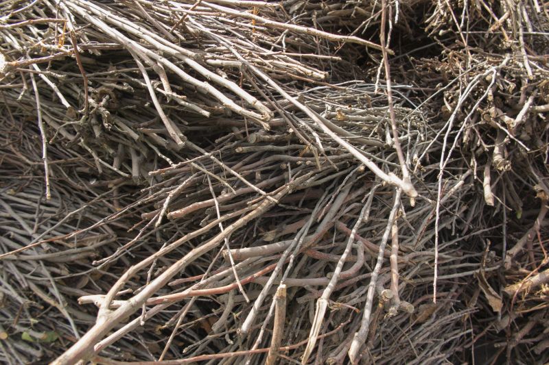 Tree Debris Removal in Ventura County, CA